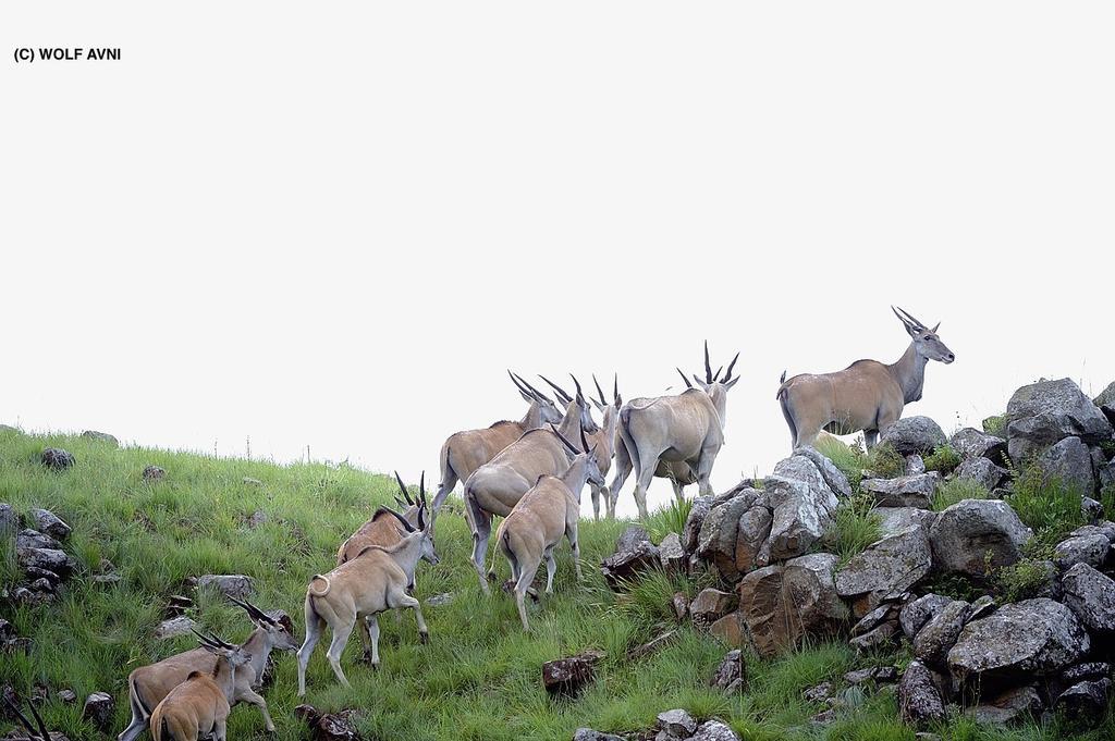 Giantscup Wilderness Reserve อันเดอร์เบิร์ก ภายนอก รูปภาพ